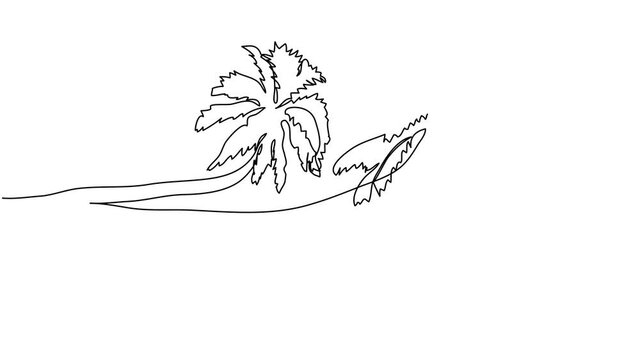 Animation of continuous line drawing of palm trees and cruise ship.