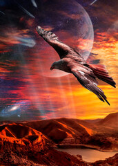 Sky fredoom