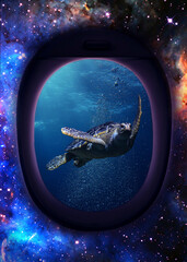 Tortuga Espacial 