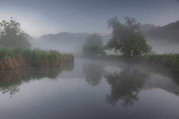 Fototapeta na wymiar Ein Teich im morgendlichen Nebel.