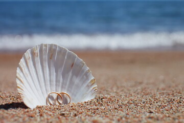 Sea shells with wedding rings on the beach. Summer vacation concept. Family holidays by the sea