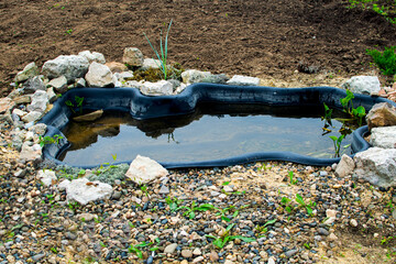 Small pond in the garden as landscaping design element.