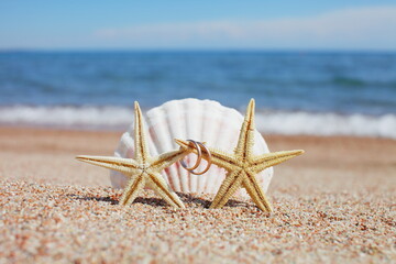 Fototapeta na wymiar Sea shells and starfish with wedding rings on the beach. Summer vacation concept. Family holidays by the sea