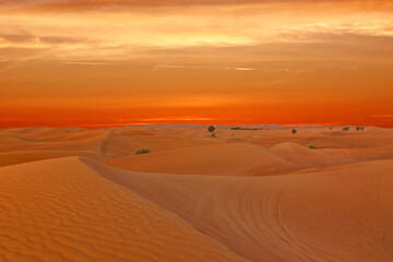 Fototapeta na wymiar Sunset panorama of sand desert picturesque landscape, United Arab Emirates, Dubai.