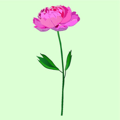 Hand drawn pink floral vector on dusky blue isolated background. 