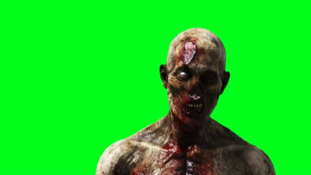 Zombie animation. Phisical motion blur. Realistic green screen 4k animation. Green screen