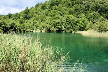 green lake in N.P. Plitvice, Croatia