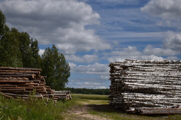 sawn wood for storage in the field