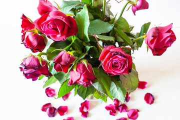 above view of bouquet of withered red rose flowers and fallen petals on pale brown table (focus on the bloom on foreground)