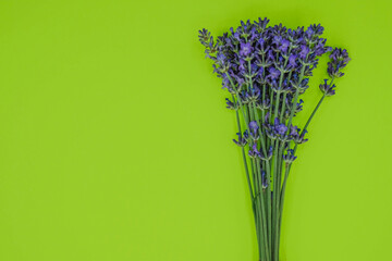  Bouquet of lavender on a light green background. Minimalism. Copy space.
