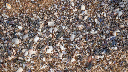 close up of a carpet