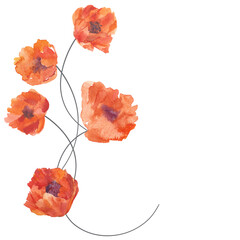 Watercolor illustration on white with copy space for text - background with poppies - backdrop for greeting cards, posters, banners and placards.