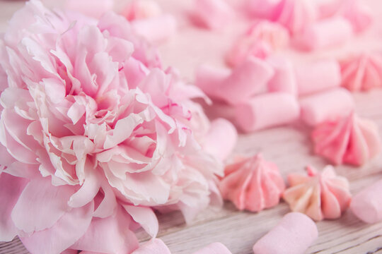 Pink peony flower on a background of pink meringues and marshmallows copy space.