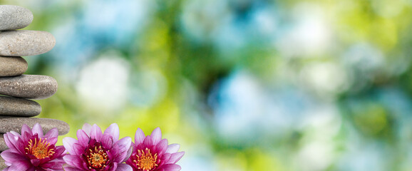 image of a lotus flower and stones on the water