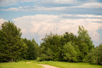 Naklejka premium Blue sky with clouds over the forest