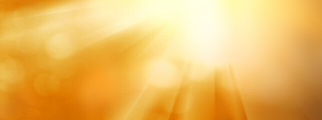 Obraz premium image of wheat spikelets against sun background