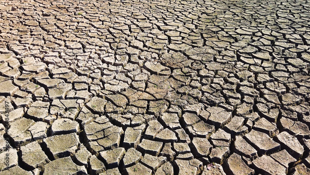 Poster closeup shot of cracked earth texture