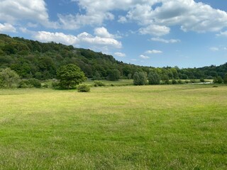 Obraz premium Meadow land, with plants and trees in the distance, opposite Kilnsey Crag, Grassington, UK