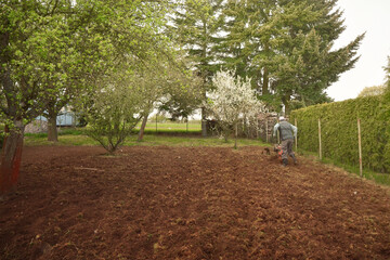 Old man plows the ground with a motor cultivator. A farmer ploughs the soil using a petrol...