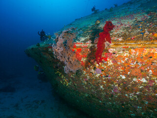 Naklejka na ściany i meble Shipwreck lying on its side in the sandy bottom