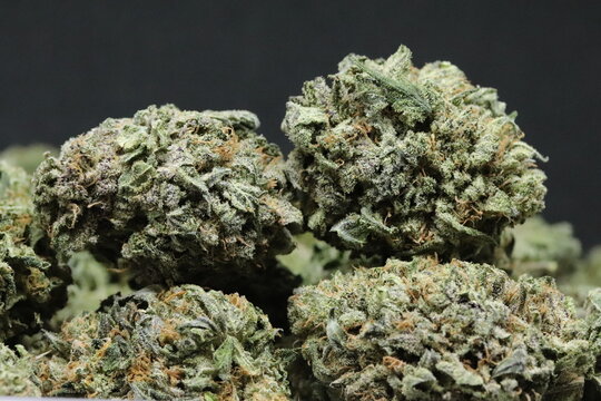 Bruce Banner