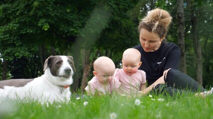 Happy Mother And Twin Babies Resting In Summer Park With Dog