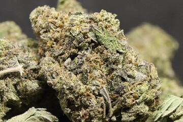 Ayahuasca Purple 