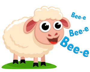 A sheep stands on the grass and smiles on a white