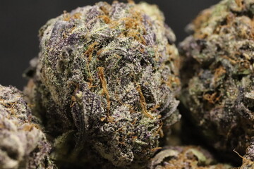 Purple Monkey Balls