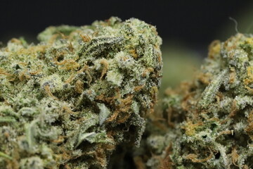 Wild Nuken
