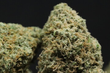 Critical Mass