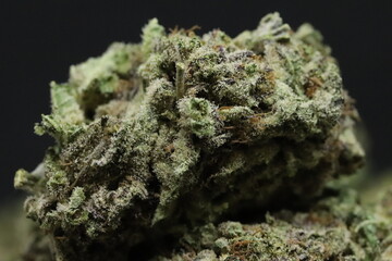 Purple Widow