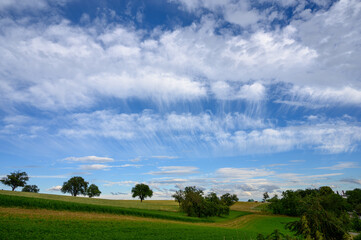 Cirrus Wolken über den Kraichgau