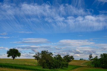 Cirrus Wolken über den Kraichgau