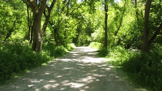 empty walking path in the park