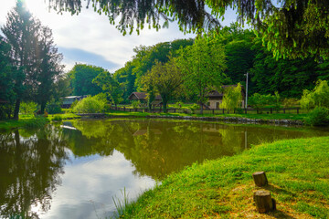 Obraz premium Beautiful landscape with forest lake 