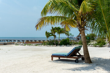 Obraz na płótnie Canvas recliner un palm tree on beach in Belize