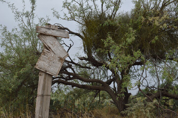 Abandoned Sign by an old mesquite tree
