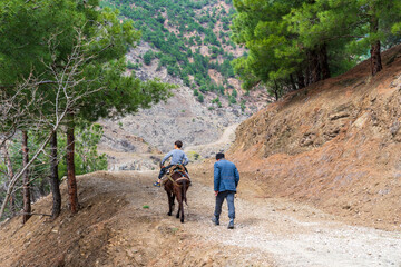 Child riding a donkey.  March 25, 2020 Tokat, Turkey