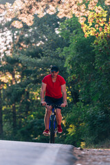 Obraz premium Tall handsome biker rides his bicycle on sunset in a lovely magical forest.