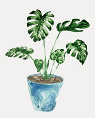tropical flower Monstera in the blue pot hand draw watercolor Color palette
