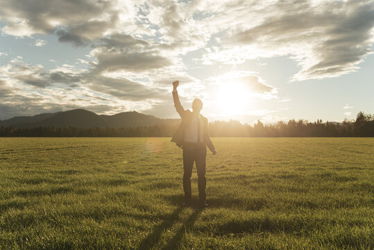 Businessman celebrating success standing in a meadow
