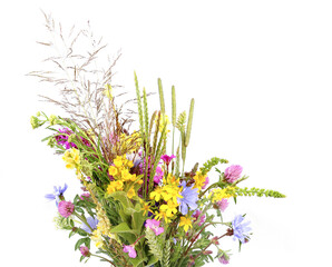 Bouquet of flowering wild grass and herbs isolated on white background. Meadow flowers wildflowers...