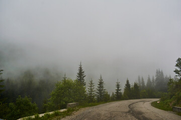 The road in mountain covered in fog