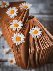Old books with flowers of white field daisies.