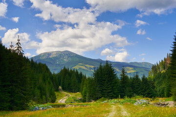 Blue sky over the peak of the mountain and a road in the forest with fir trees