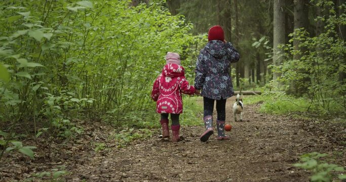 Rear view of sisters holding hands while walking amidst forest with dog