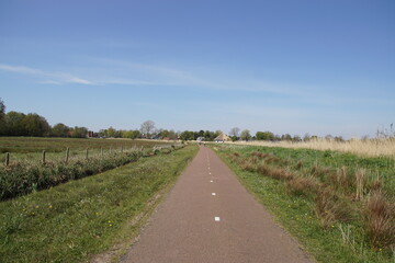 Fototapeta premium Pasture landscape in North Holland. Bike path through the meadows with cyclists in the distance from the Dutch city of Alkmaar to the village of Bergen. Spring, Netherlands, April 23, 2020.