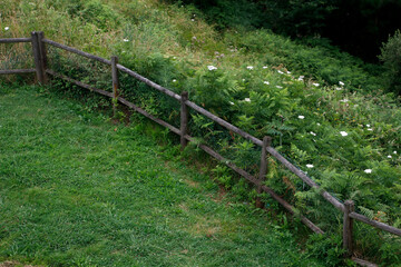 Fence in the countryside