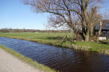 Pasture landscape. A dirt road through the meadows, along a ditch and tree. Near the Dutch village...